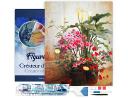 Diamond Painting Broderie Diamant Figured’Art 40x50cm toile tendue sur châssis en bois - diamants carrés - Côté d'une serre Cochran Lambdin