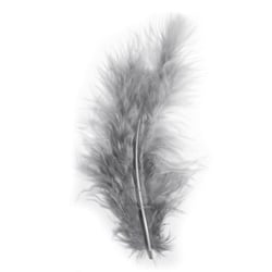 Plumes de décoration, gris, 8 cm,