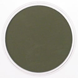 PANPASTEL 9ml Bright Yellow Green Extra Dark