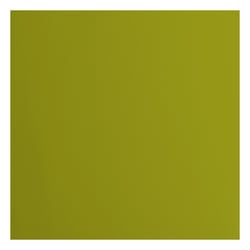 Papier cartonné Florence - 20 feuilles - Fern - 30,5 x 30,5 cm - 216 g/m²