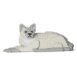 Chat Tonkinois couché | JEKCA | 14 ans et +