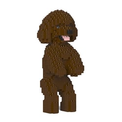 Chien Caniche Nain debout marron Taille standard | JEKCA | 14 ans et +