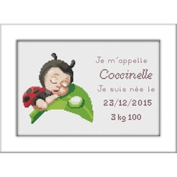 LUC - Kit à broder point de croix Naissance Coccinelle