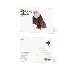 CARTE POSTALE AIGLE À TÊTE BLANCHE