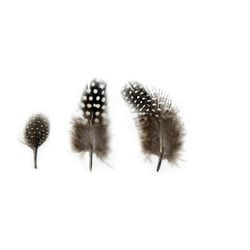Plumes grises 8 cm - Artemio