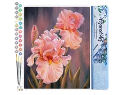 Peinture par Numéro Figured'Art - Iris rosé - Kit de Loisir Créatif DIY Numéro d'Art Complet - 40x50cm sans châssis en bois