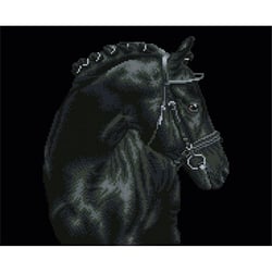 Cheval noir