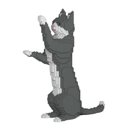 Chat Tuxedo gris debout | JEKCA | 14 ans et +