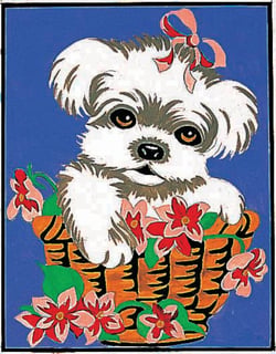 Kit canevas Chien 20x25cm