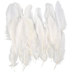 Plumes d'Oie Blanches, ca. 10-18 cm, blanc, 350 pièces/ 1 Pq.