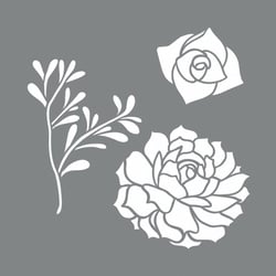 Pochoir Succulentes, 20,32x20,32cm, 2pces