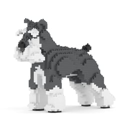 Chien Schnauzer Moyen gris et blanc Taille standard | JEKCA | 14 ans et +