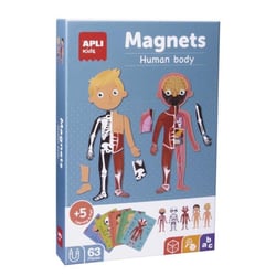 Magnet le corps humain