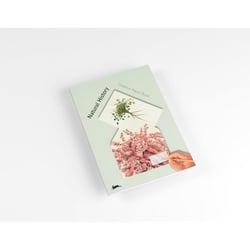 Cahier scrapbooking - Histoire naturelle - Cartes, enveloppes, autocollants - Pepin