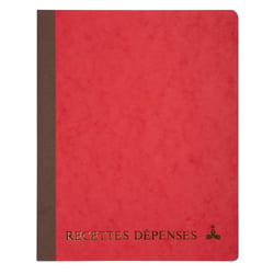 Piqûre 220X170 Recettes-dépenses 80 pages - Couleurs assorties - x 10 - Le Dauphin