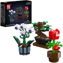 Plantes en pot