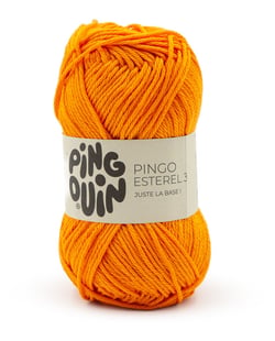 Pingo Esterel 3