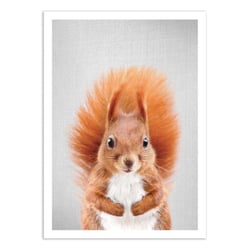 Affiche 30x40 cm - Squirrel - Gal Design