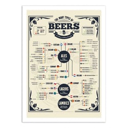 Affiche 50x70 cm - Beer types of the world - Frog Posters