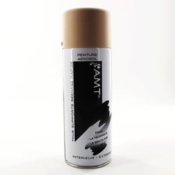Spray de peinture - Lin mat - Amt