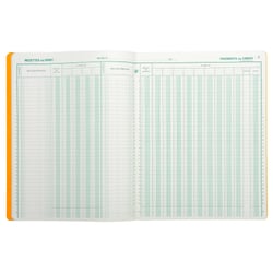 Piqûre 32x25 Journal de caisse ou banque 9 débit - 4 crédit 33 lignes 80 pages - Couleurs assorties - Exacompta