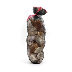 Gros Coquillage Filet 400gr