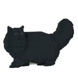 Chat Persan noir | JEKCA | 14 ans et +