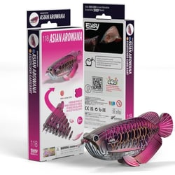 Poisson-dragon – Eugy 3D
