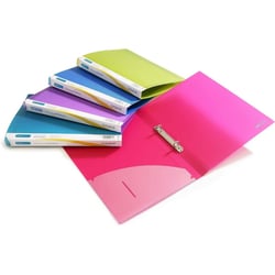 Classeurs - A4 - 2 anneaux - Dos 15mm - Polypro - Souple - Lot de 10 - Couleurs vives