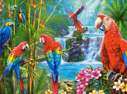 Puzzle 2000 pièces - Réunion de Perroquets - Castorland