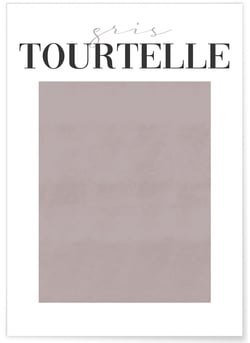 Affiche Gris Tourtelle | A3 : 29,7x42cm