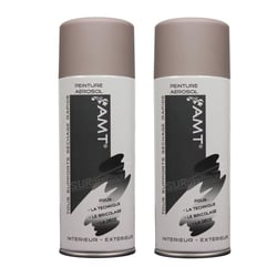 Lot de 2 sprays de peinture - taupe mat - Amt