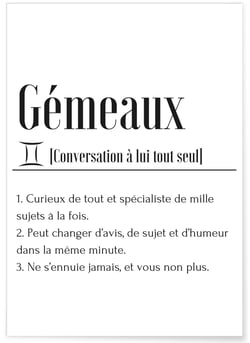 Affiche Définition Gémeaux | A3 : 29,7x42cm