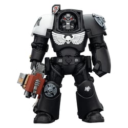 Warhammer 40k - Figurine Raven Guard Terminator 2 with Power Fist and Storm Bolter 14 cm - Joy Toy (CN)