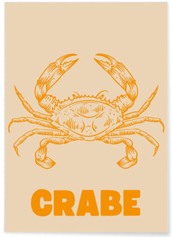Affiche Crabe | A3 : 29,7x42cm