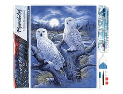 Diamond Painting Broderie Diamant Figured’Art 40x50cm toile entière roulée avec diamants carrés - Chouettes et Lune