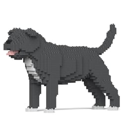 Chien Staffordshire Bull Terrier gris Taille standard | JEKCA | 14 ans et +