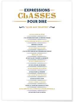 Affiche Expressions classes pour dire 'Je vais aux toilettes' | A3 : 29,7x42cm