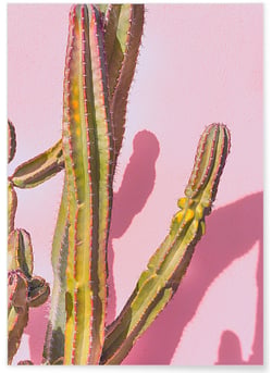 Poster nature Cactus 4 | A3 : 29,7x42cm