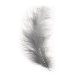 Plume duvetée, gris, 10 - 15 cm, 15 pces