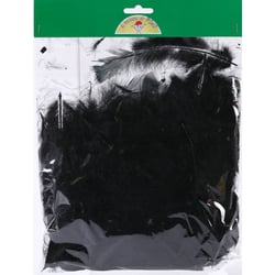SACHET DE 25 Gr PLUMES NOIRES