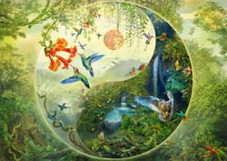 Puzzle 1000 pièces - Yin & Yang - Dans la Forêt des Colibris - Schmidt Spiele