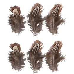 Plumes, brun, 5 - 10cm, 6 pces
