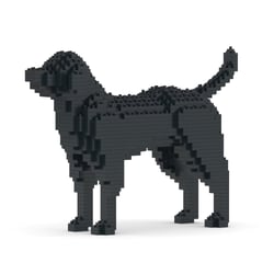 Chien Labrador Retriever noir Taille standard | JEKCA | 14 ans et +
