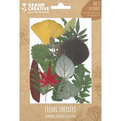 FLEURS PRESSEES FOREST 1 - 15 PCS