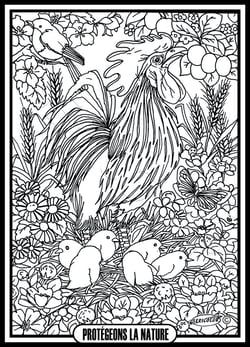 Tableau velours a colorier Coq et poussins Sericolor