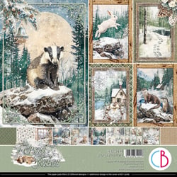 12 papiers scrapbooking carterie 30 x 30 cm Ciao Bella FOREST TALES