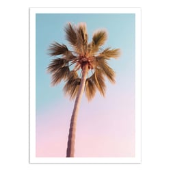 Affiche 30x40 cm - Hollywood Palm - Philippe Hugonnard