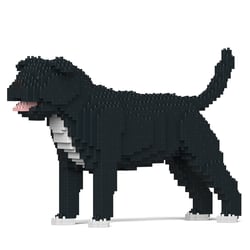 Chien Staffordshire Bull Terrier noir Taille standard | JEKCA | 14 ans et +