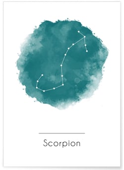 Affiche Scorpion | A3 : 29,7x42cm